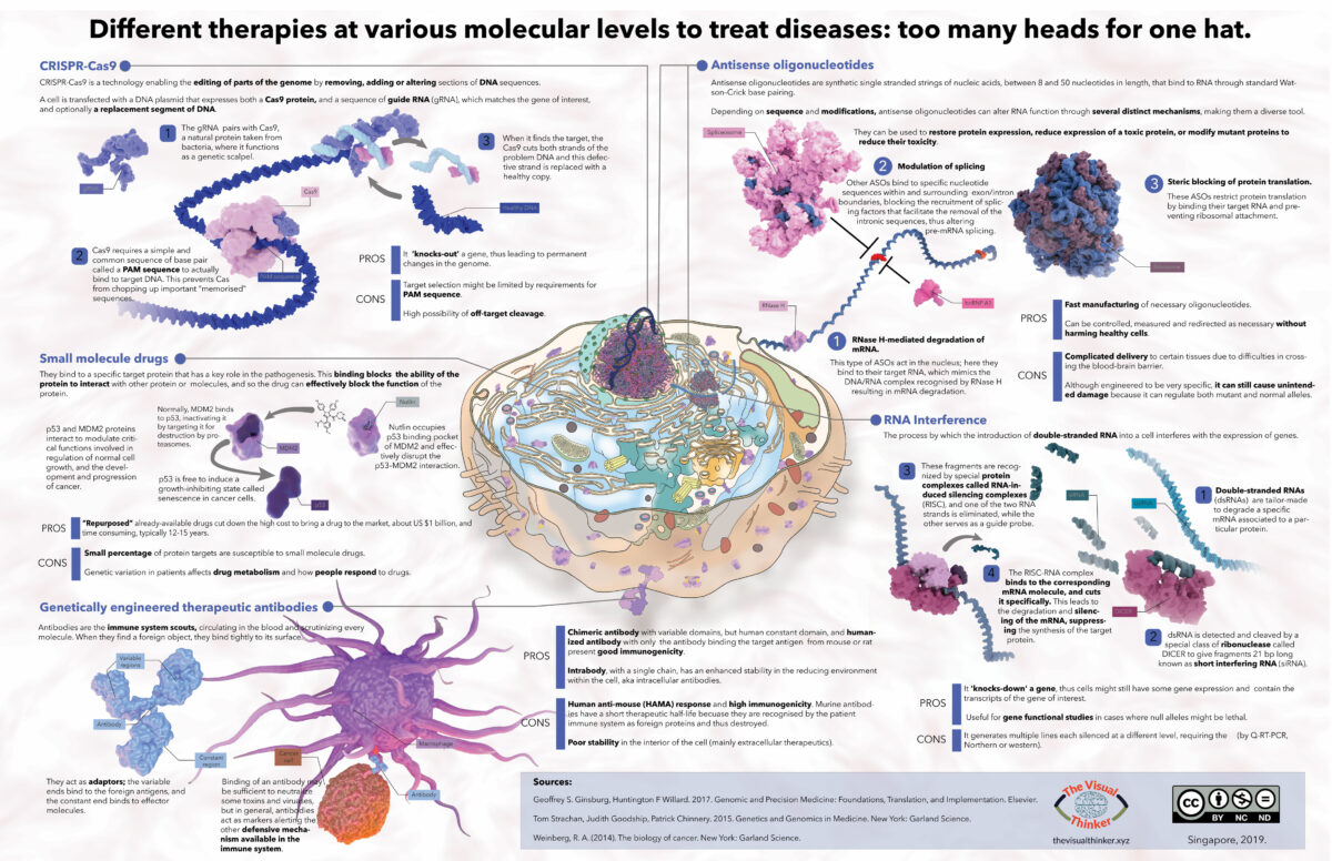 Infographic of molecular medicine
